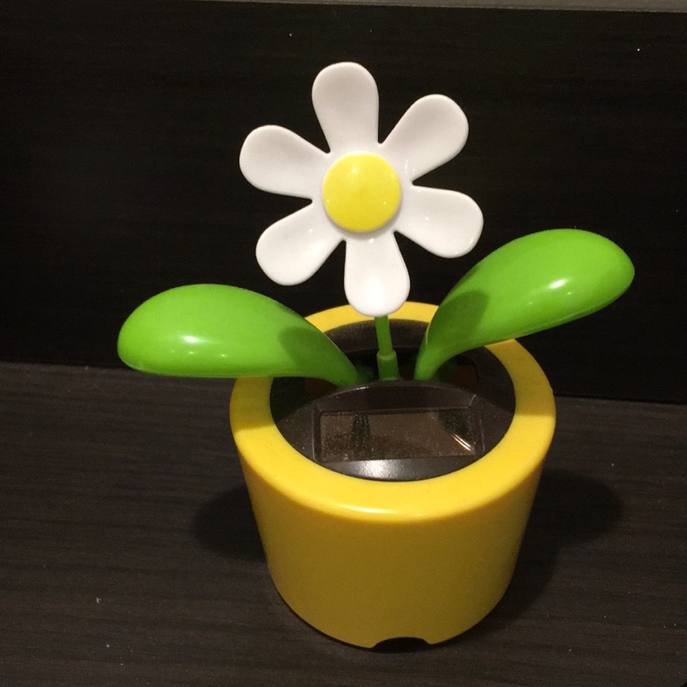 Meet your Posher, Juanita